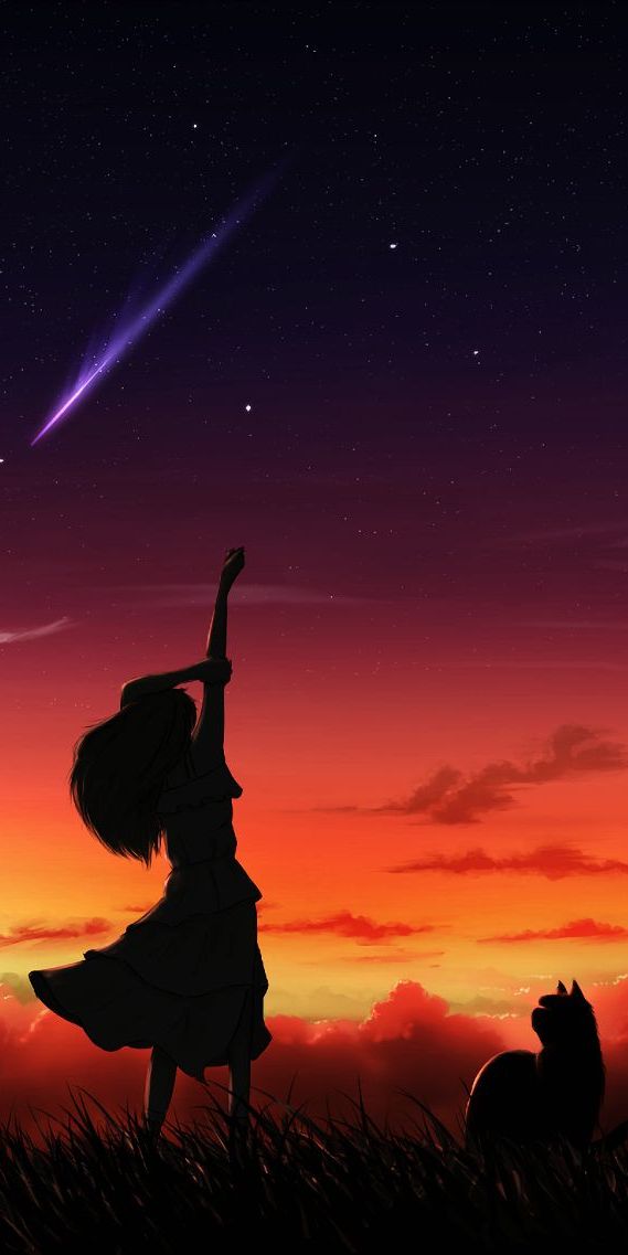 Captivating phone wallpaper featuring a silhouette of a girl and cat under a shooting star