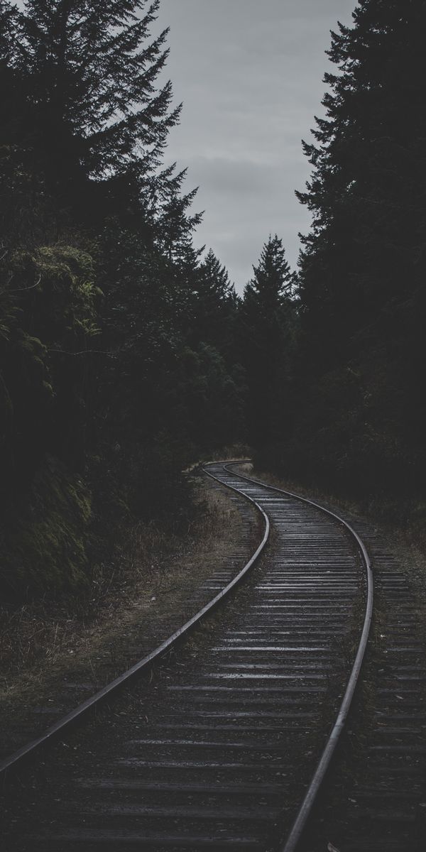 Captivating 4K phone wallpaper of a twilight railway surrounded by trees