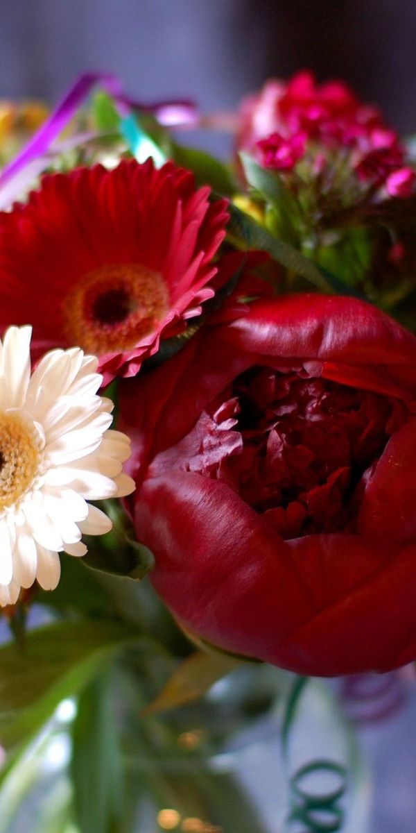 Phone wallpaper: Flowers, Peony, Typography, Pion, Bud, Bouquet, Registration, Gerberas free downloa