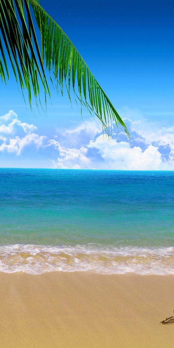 Tropical Beach Scene with Palm Tree and Heart in the Sand