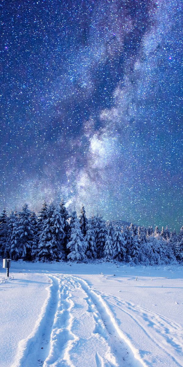 Breathtaking Milky Way Above a Winter Wonderland