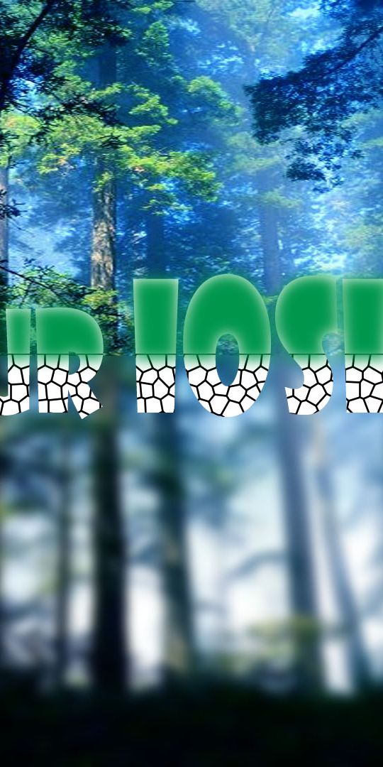 Phone wallpaper: Forest, Blur, Leaf, Artistic free download