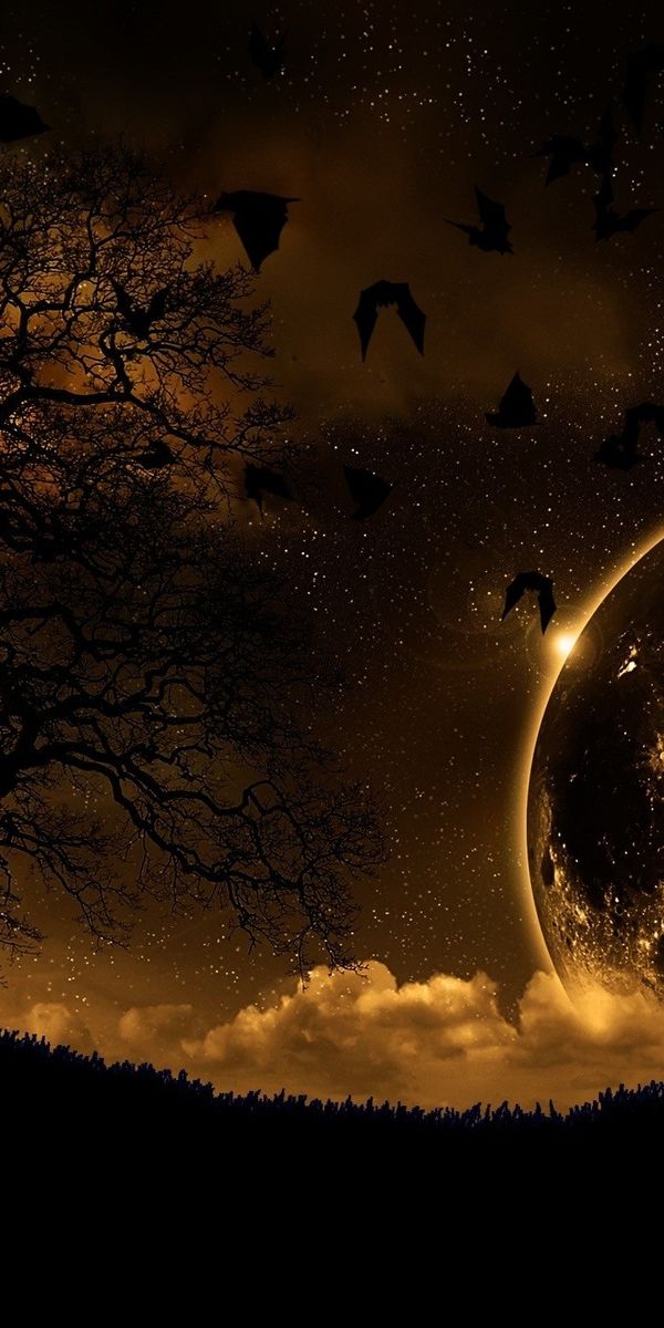 Enchanting Night Landscape Featuring a Majestic Moon and Flying Birds