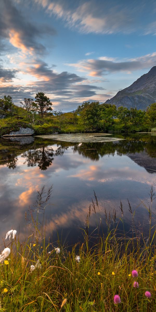 Breathtaking Mountain Lake Scene with Reflection