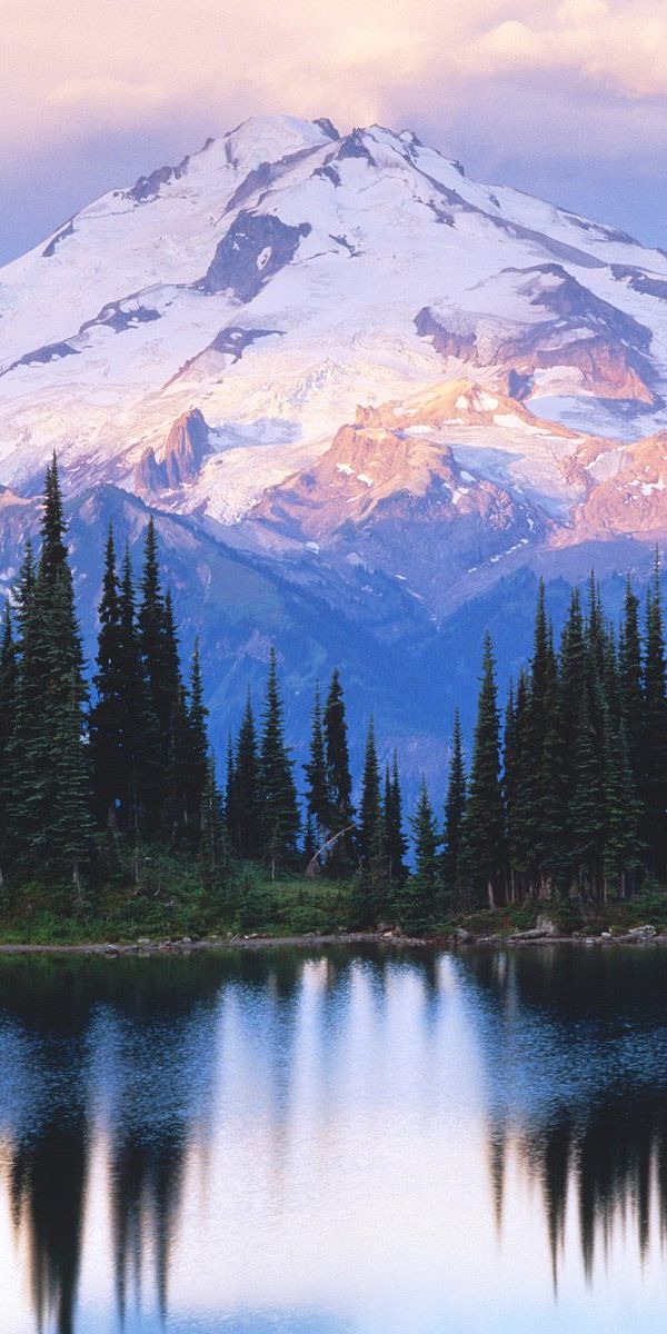 Snow-Capped Mountains and Reflective Forest Wallpaper