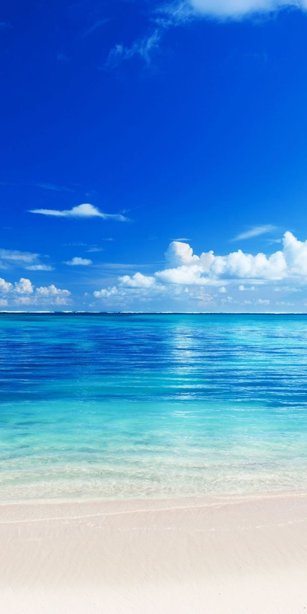 Beautiful Tropical Beach with Crystal Clear Waters