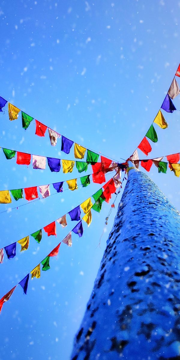 Colorful Holiday Flags in a Snowy Landscape