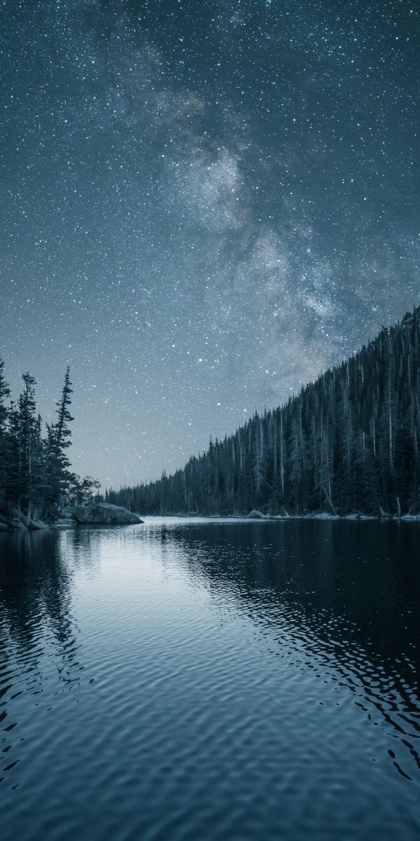 Breathtaking Night Landscape with Starry Sky and River