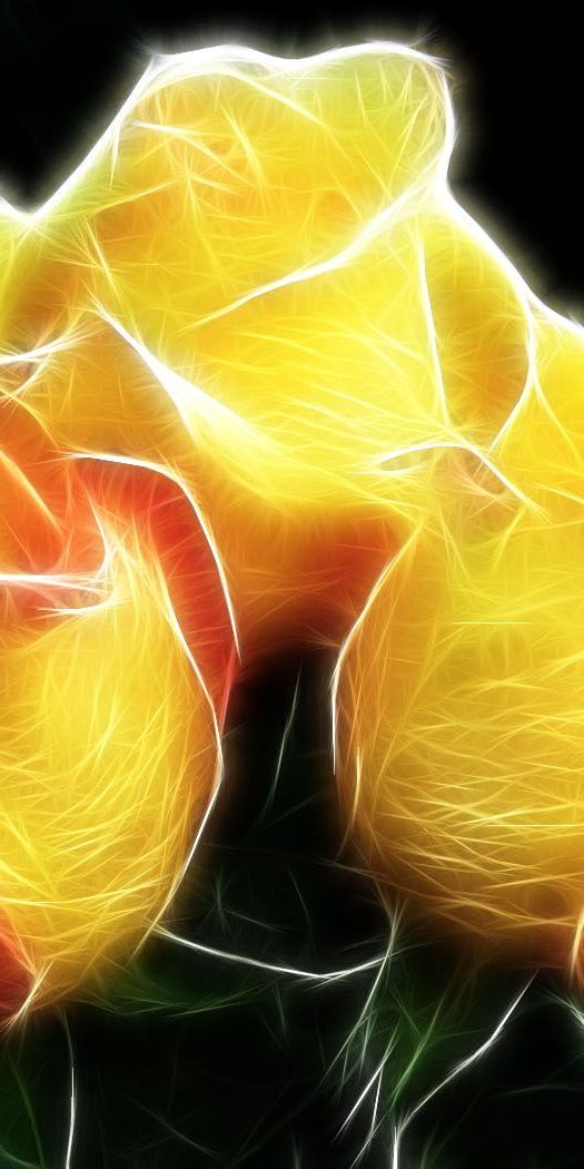 Phone wallpaper: Flowers, Fractal, Flower, Artistic free download