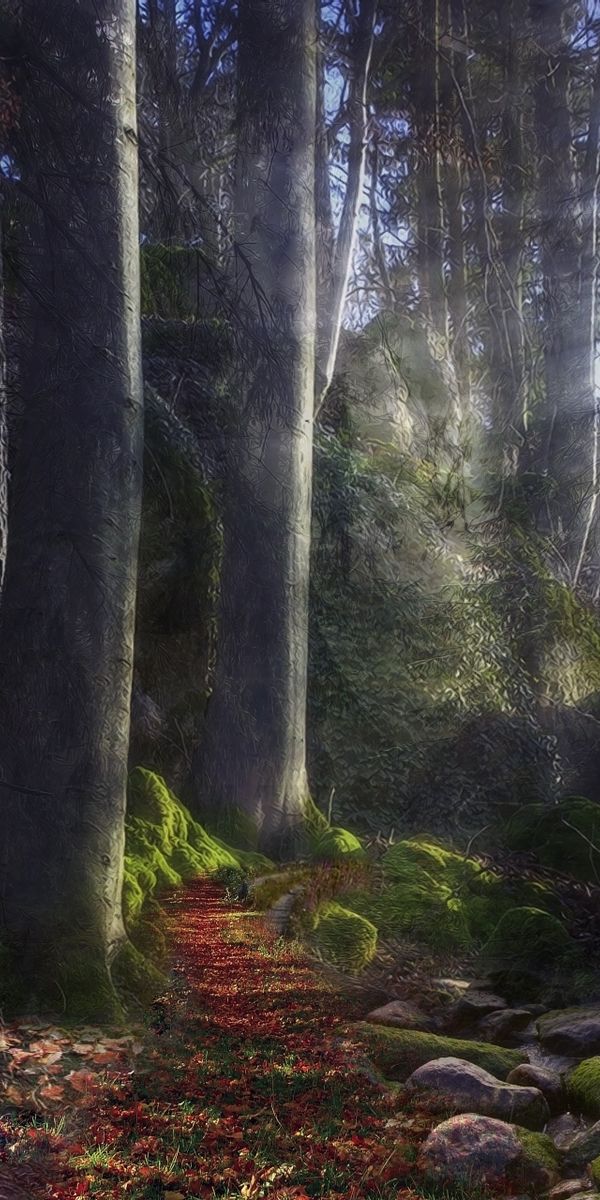 Phone wallpaper: Track, Beams, Path, Rays, Forest, Mysterious, Stones, Light, Moss, Shine, Nature, S