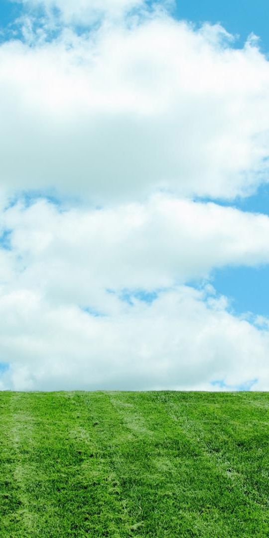 Phone wallpaper: Clouds, Landscape, Trees, Fields free download