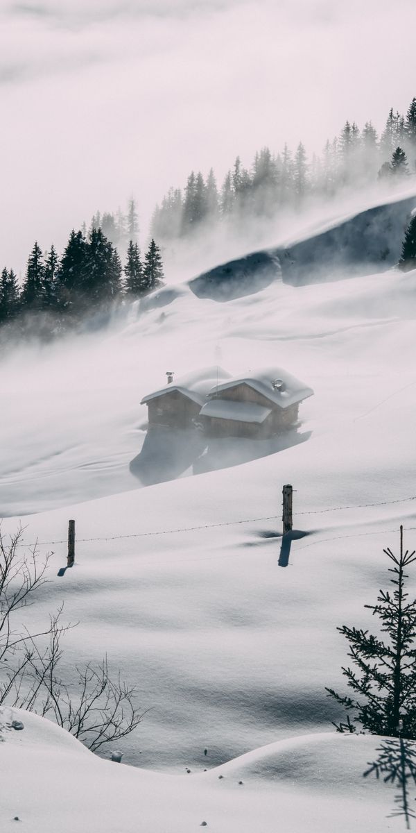Phone wallpaper: Fog, Elevation, Snow, Lodge, Trees, Nature, Small House free download