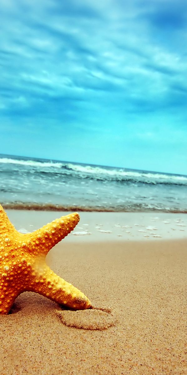 Beautiful mobile wallpaper featuring a starfish on a tranquil beach