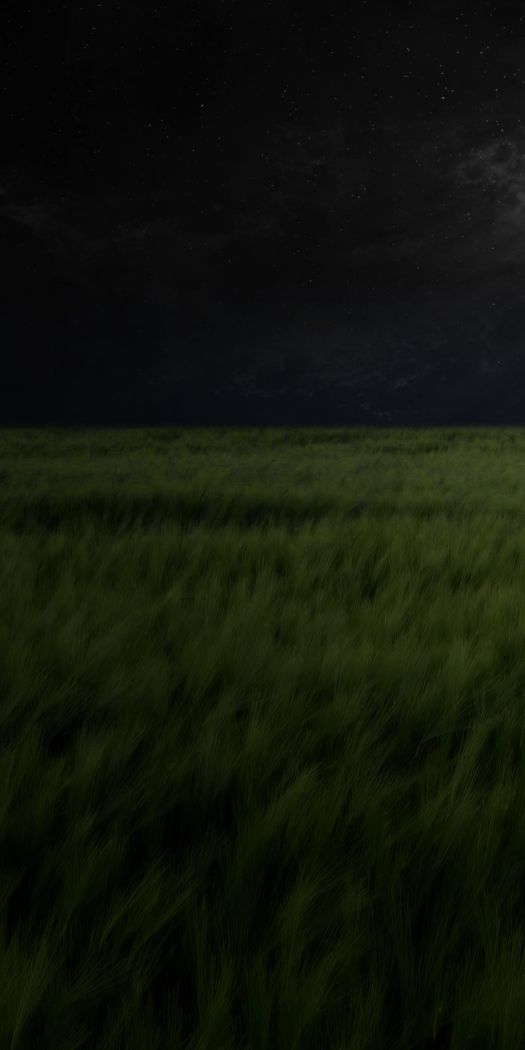 Moonlit Field at Night – Tranquil Phone Wallpaper