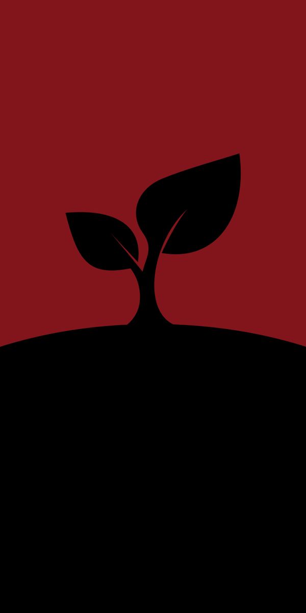 Minimalist Leaf on Dark Background for Mobile Wallpaper