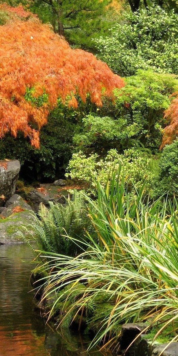 Phone wallpaper: Trees, Pond, Bridge, Autumn, Nature free download
