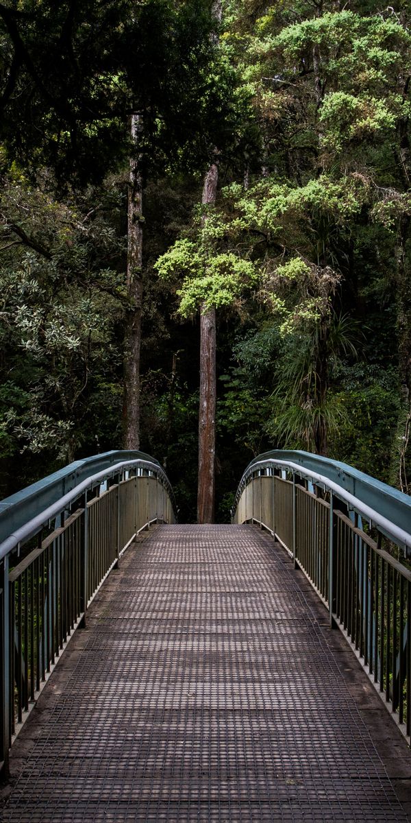 Phone wallpaper: Trees, Prospect, Perspective, Nature, Bridge, Forest free download