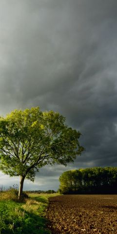 Phone wallpaper: Landscape, Sky, Tree, Earth, Cloud, Farm, Scenic free download