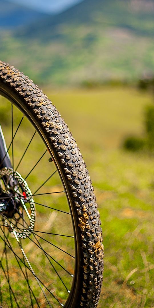 Cool Mountain Bike Amidst Lush Green Nature
