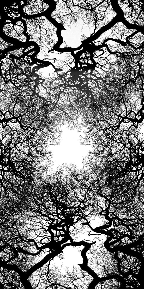 Elegant black and white wallpaper featuring intricate tree branches