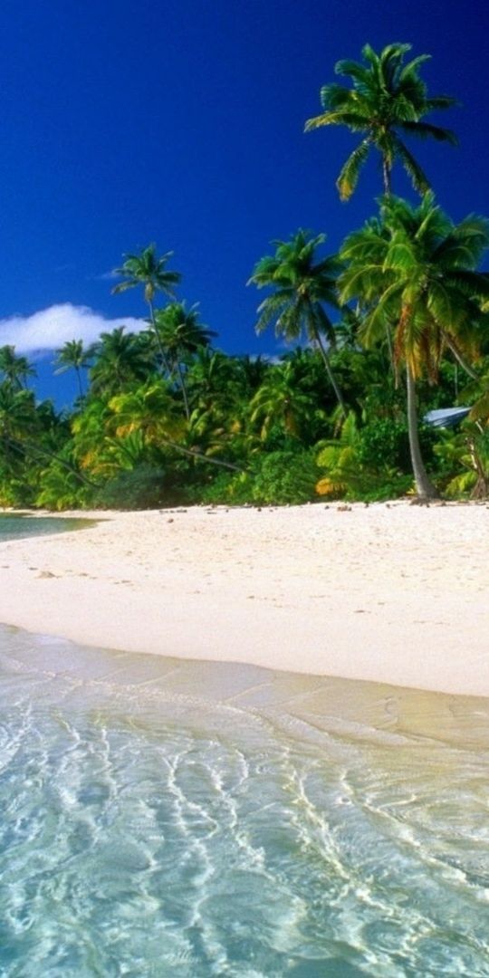 Breathtaking 4K beach landscape wallpaper for your phone background