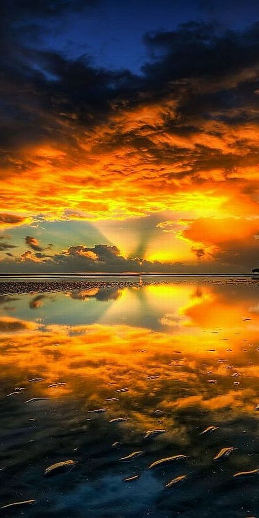 Breathtaking Sunset Reflection on Earth