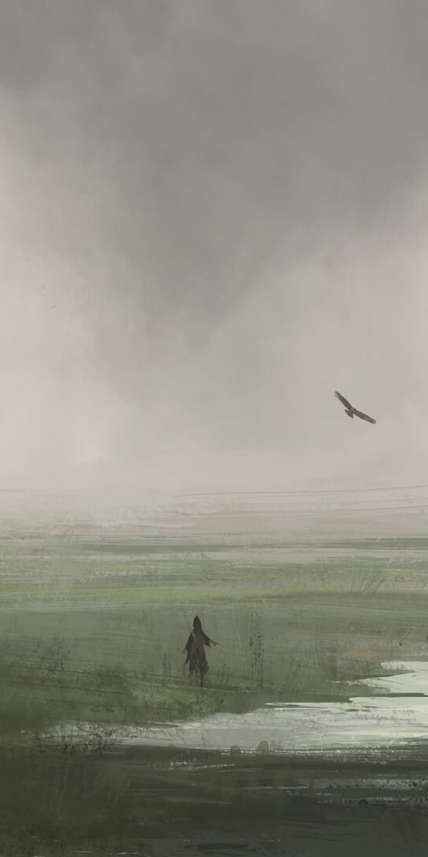 Lonely Silhouette of a Bird Over Grassy Fields