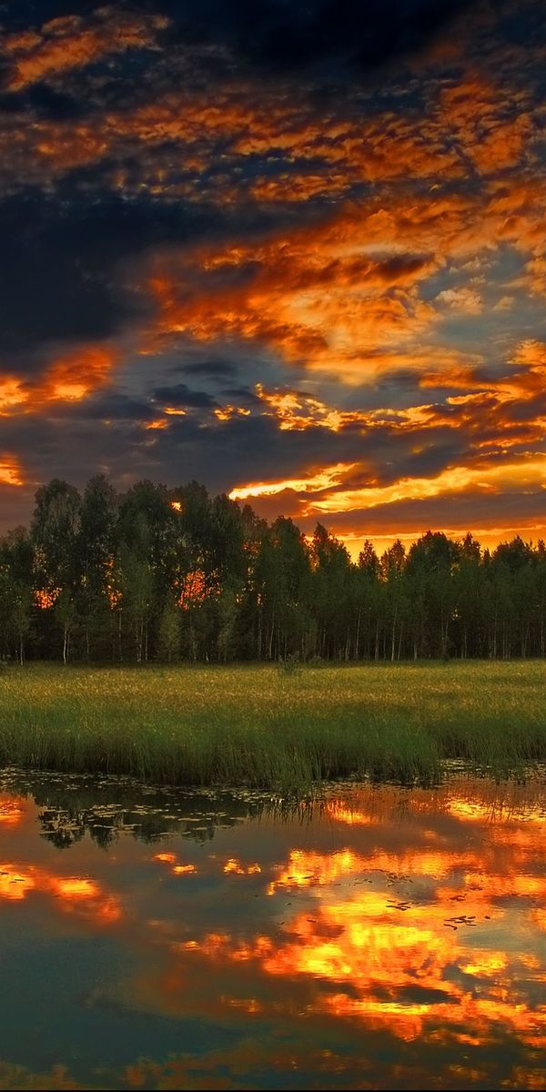 Phone wallpaper: Flowers In The Attic, Lake, Tree, Earth, Sunset, Sky free download