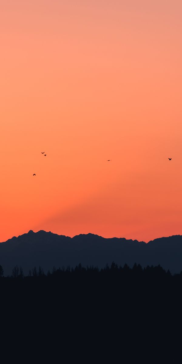 Breathtaking Mountain Sunset with Flying Birds