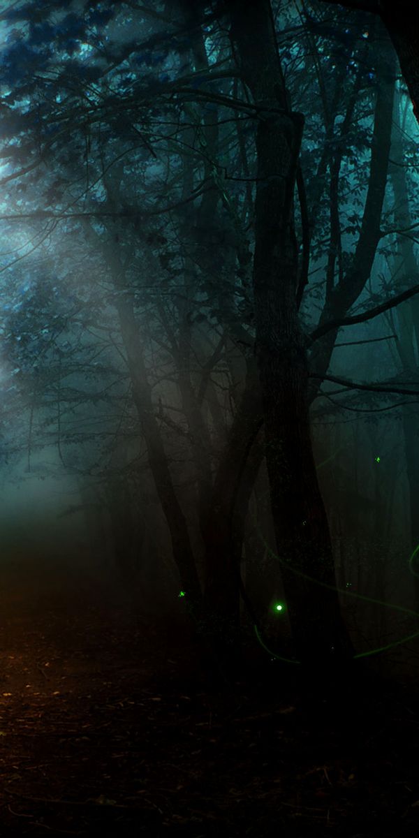 Artistic Forest Wallpaper Featuring Fireflies and Sunlight in a Lush Landscape