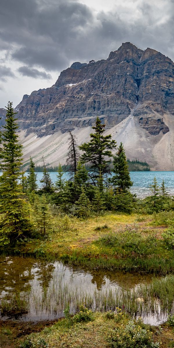 Breathtaking Mountain Lake Scene for Your Mobile Wallpaper