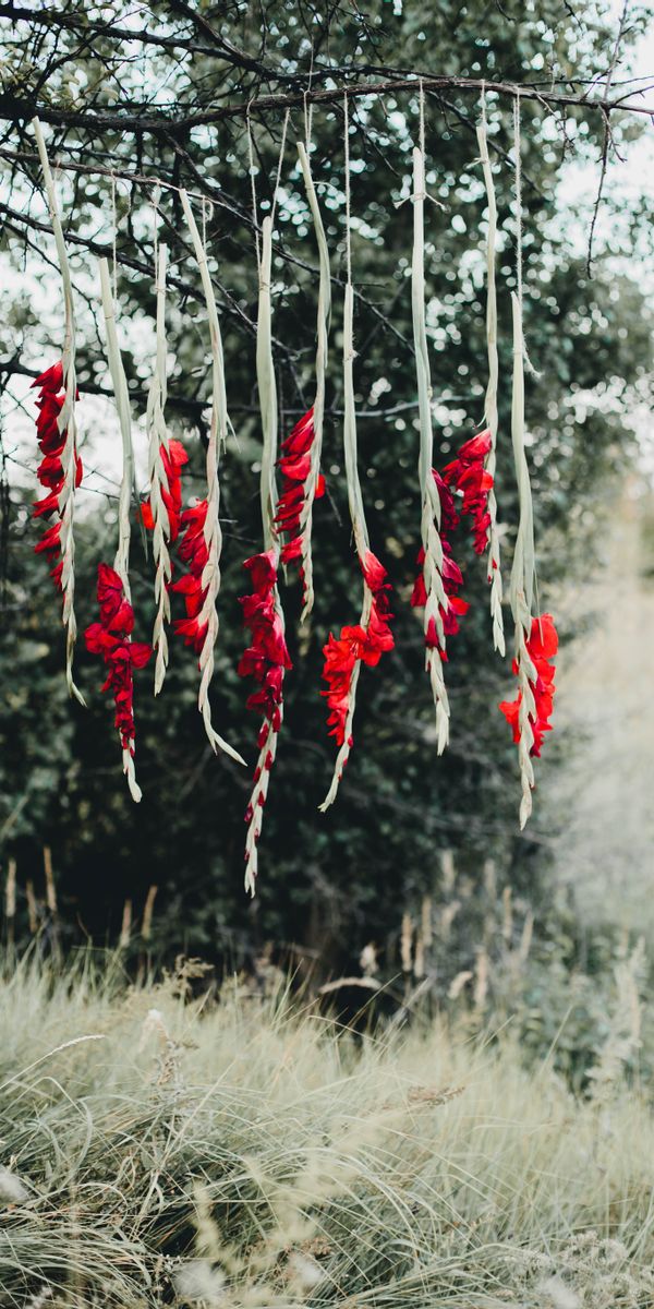 Phone wallpaper: Flowers, Wood, Tree, Branch, Nature free download
