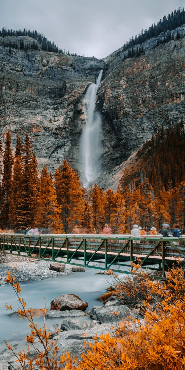 Breathtaking Waterfall and Bridge in Enchanted Forest