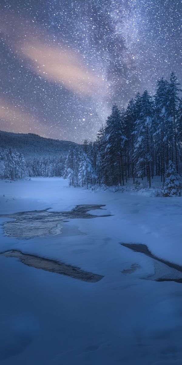 Winter River Scene with Starry Sky and Snowy Forest