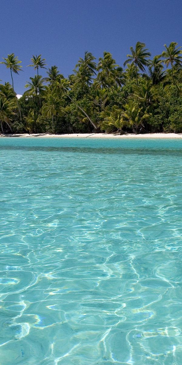 Breathtaking Tropical Beach with Crystal Clear Water