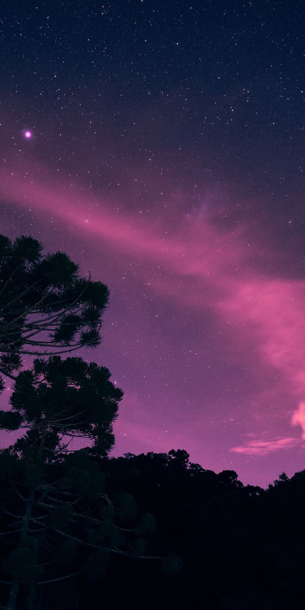 Phone wallpaper: Trees, Stars, Starry Sky, Shining, Nature, Night free download