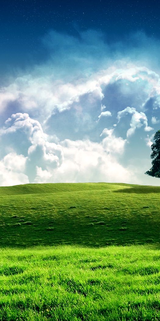 Beautiful Green Tree on a Hill with Dramatic Sky