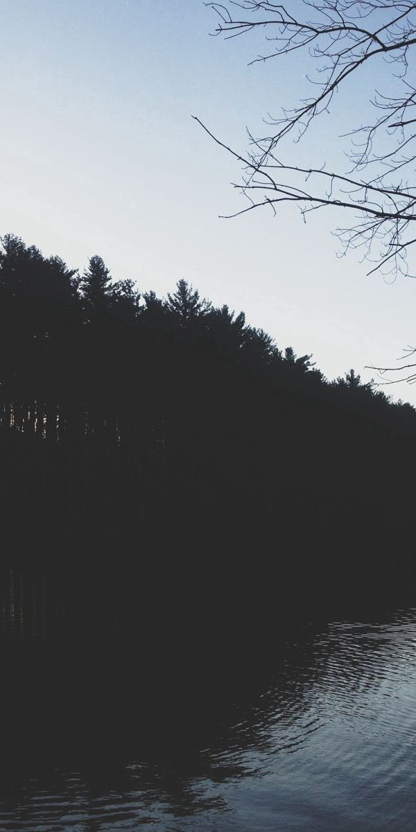 Phone wallpaper: Shore, Bank, Trees, Rivers, Night, Dark free download