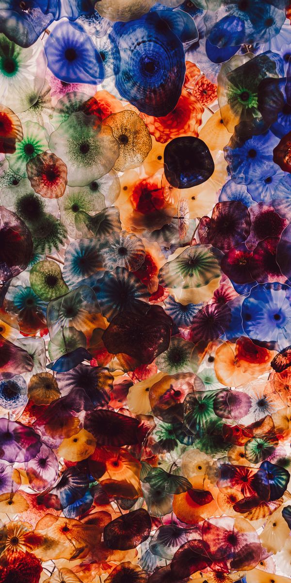 Phone wallpaper: Animals, Creatures, Motley, Multicolored, Jellyfish free download