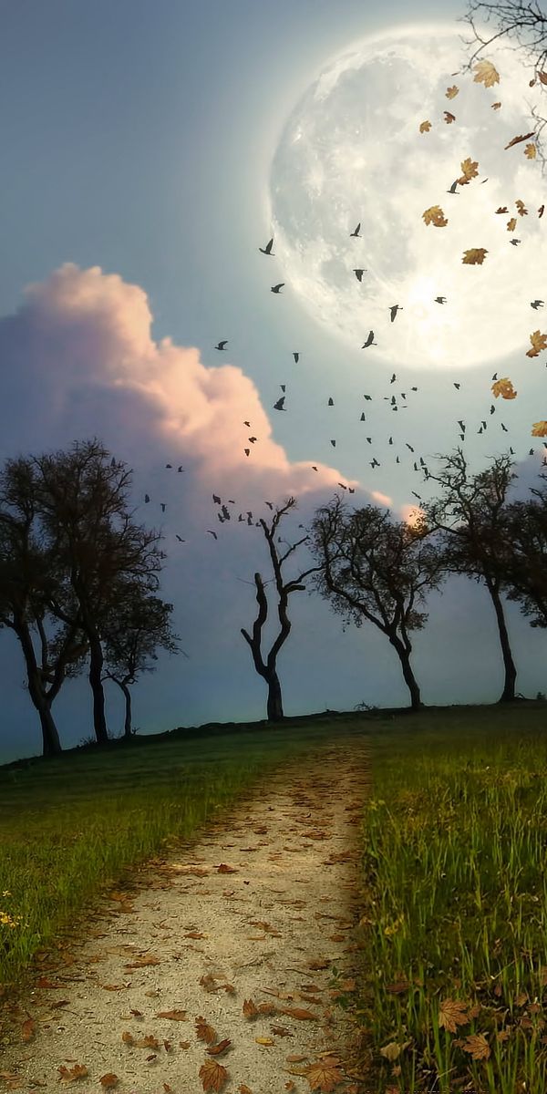 Artistic Landscape Featuring a Moonlit Scene with Trees