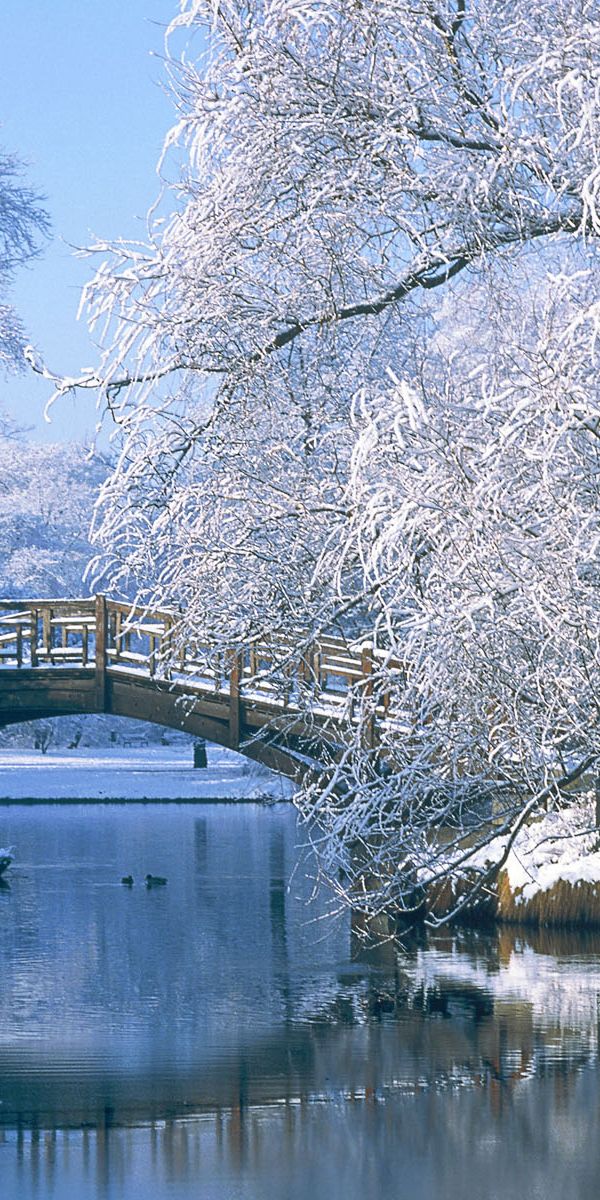 Beautiful Winter Scene Featuring a Snow-Covered Bridge