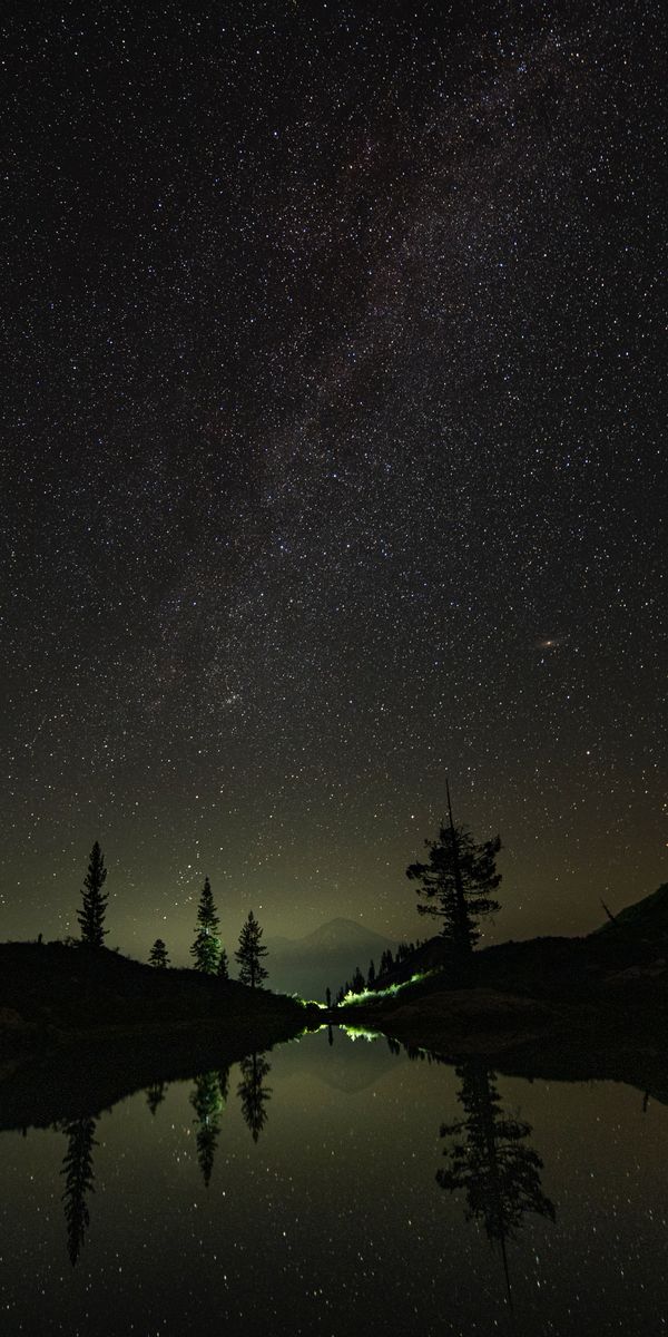 Breathtaking Night Sky with Stars and Tree Reflections