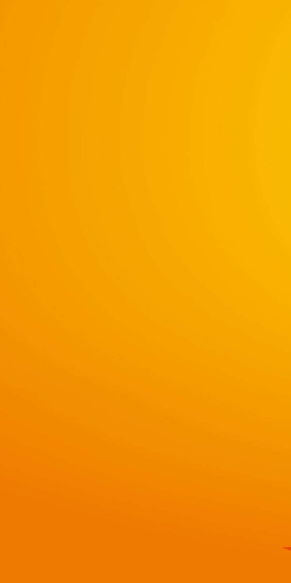 Artistic Floral Phone Wallpaper: Bright Orange Background with Elegant Flowers