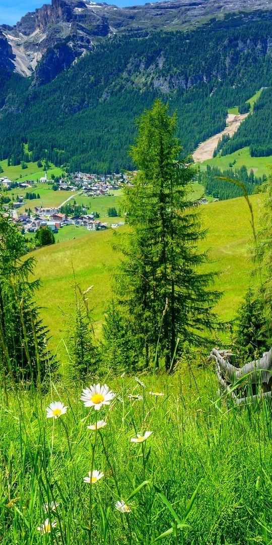 Breathtaking Spring Mountain Landscape iPhone Wallpaper for Nature Lovers