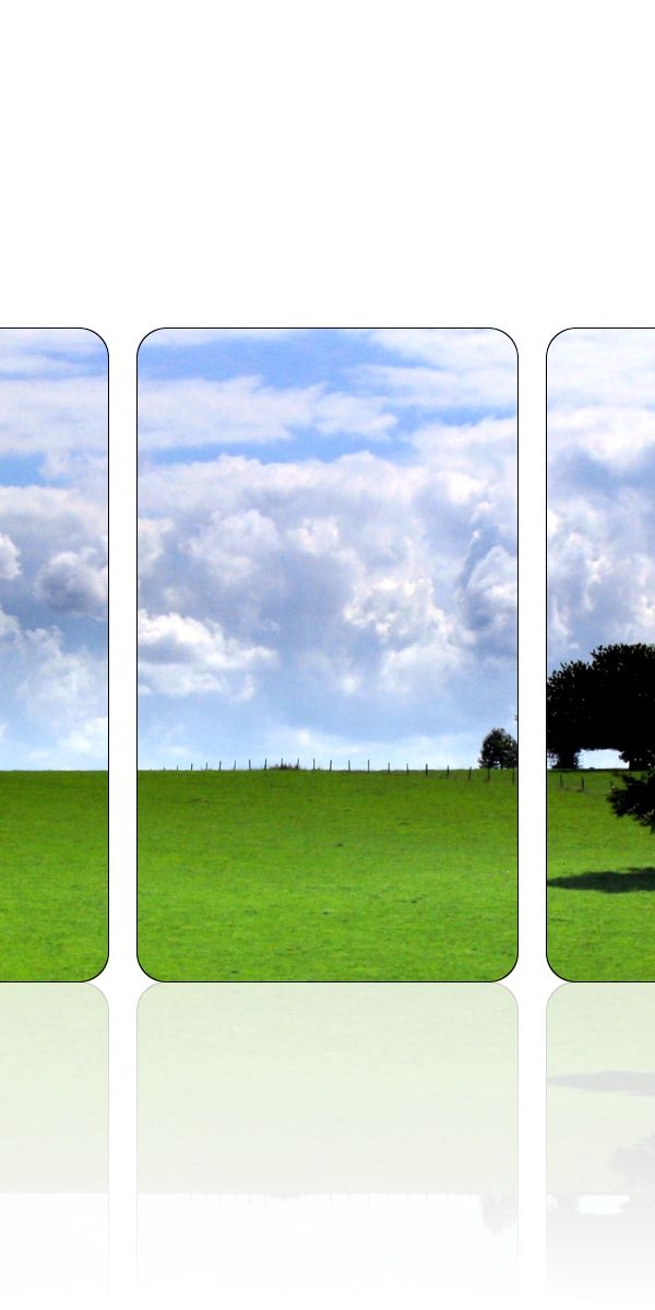 A Beautiful Triptych of a Lone Tree Against a Blue Sky