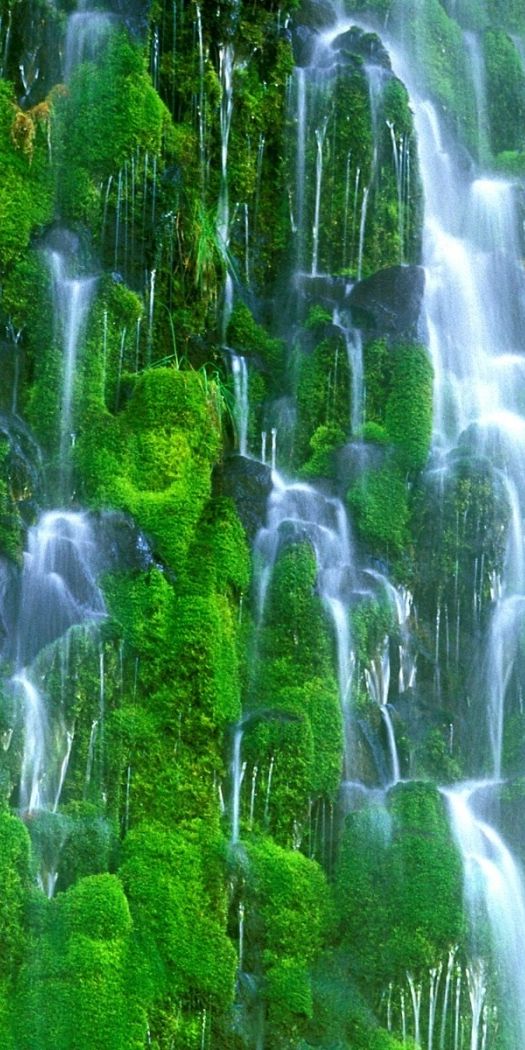 Green Waterfalls for Mobile Wallpaper