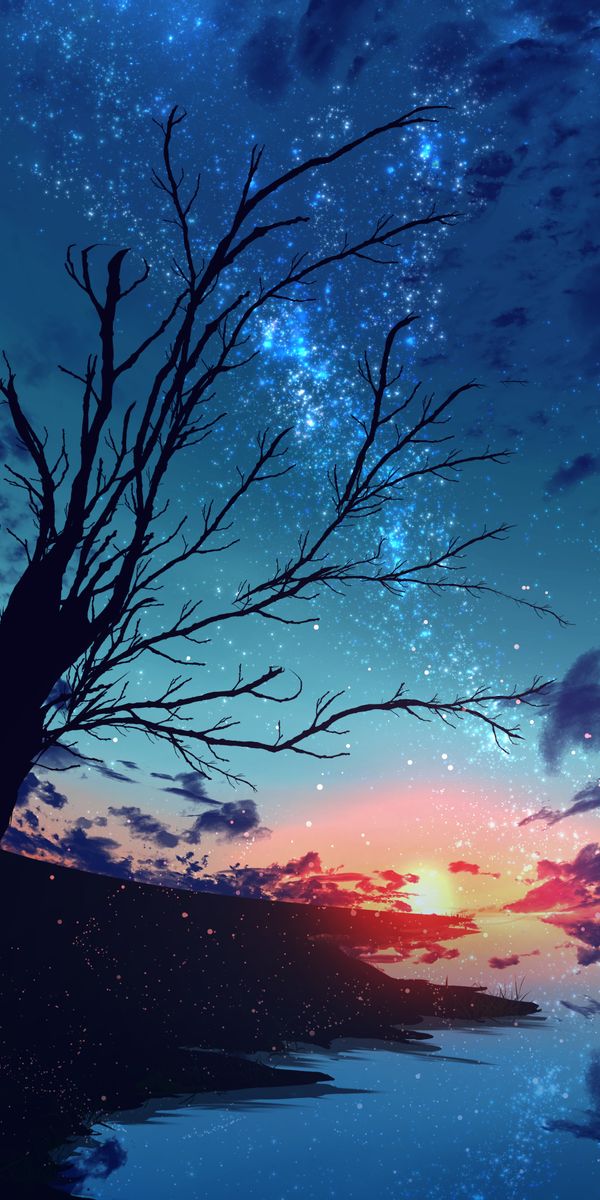 4k Tree Silhouette Against a Starry Sunset Sky
