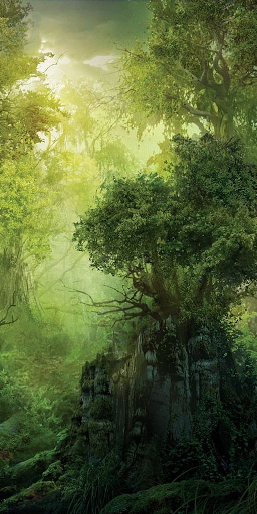Phone wallpaper: Nature, Fantasy, Forest free download