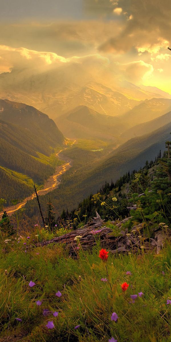Breathtaking Sunrise Landscape with Colorful Flowers