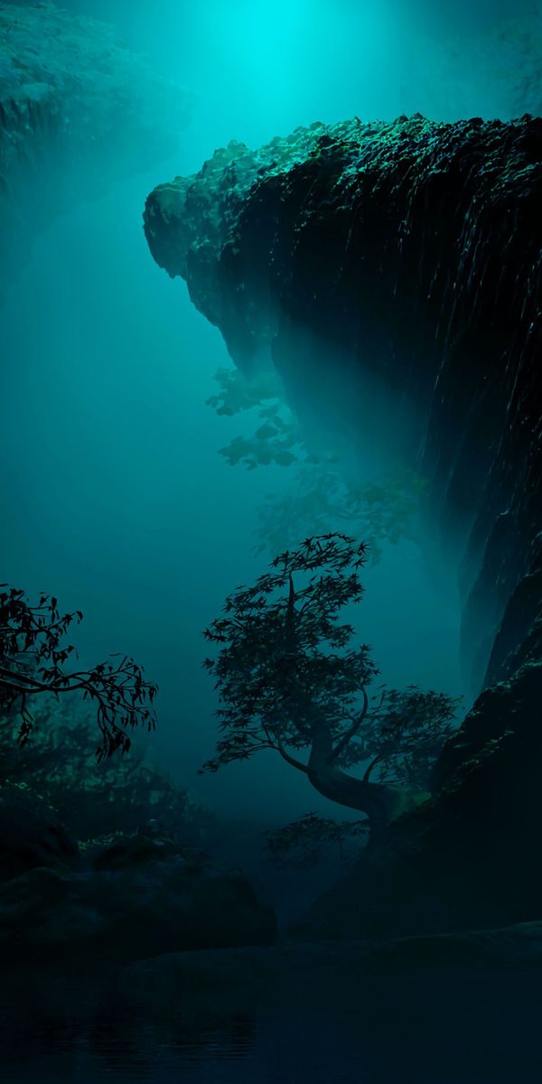Phone wallpaper: Wood, Rocks, Stones, Tree, Cave, Art, Dark free download